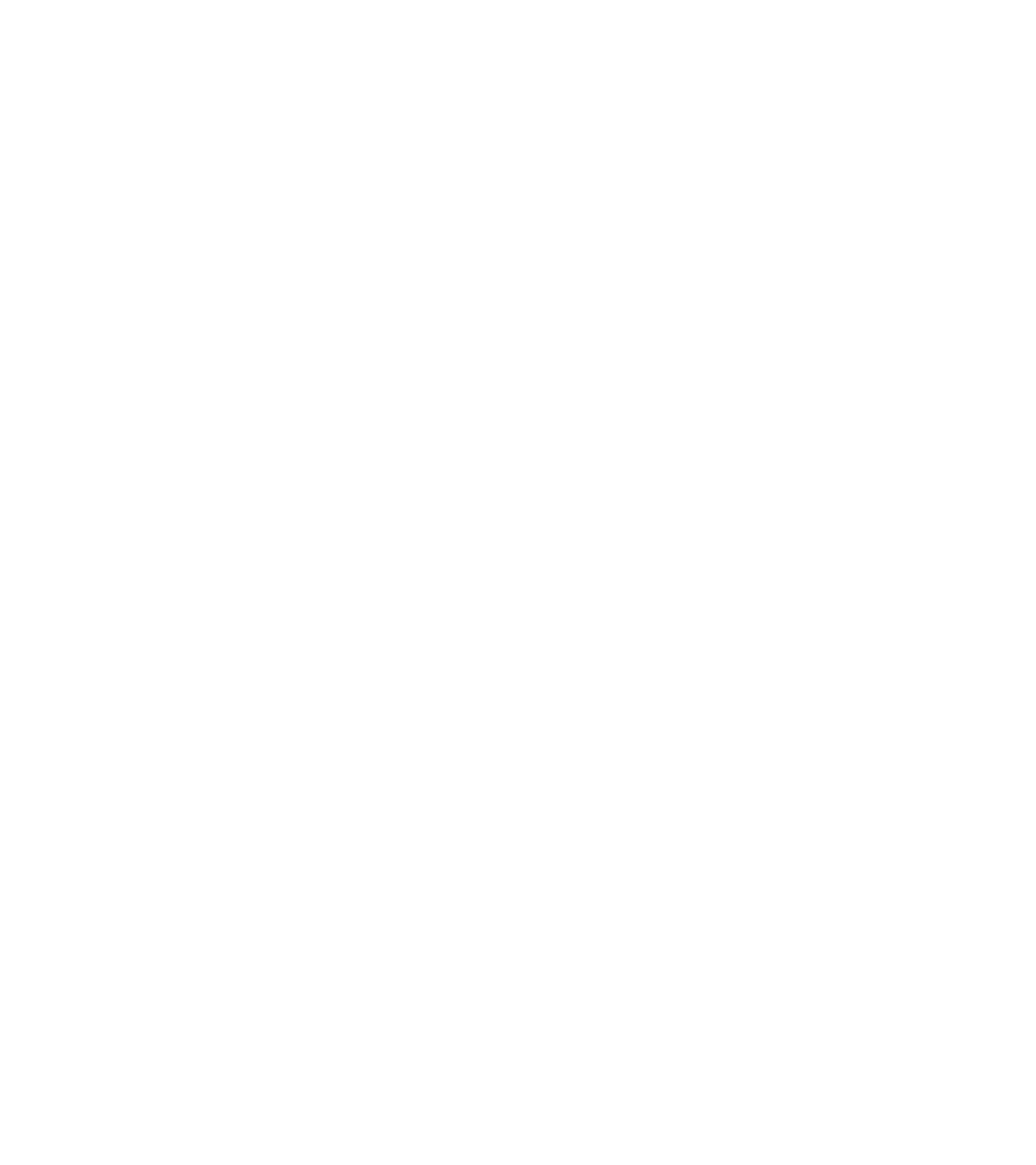 Space Cowboy